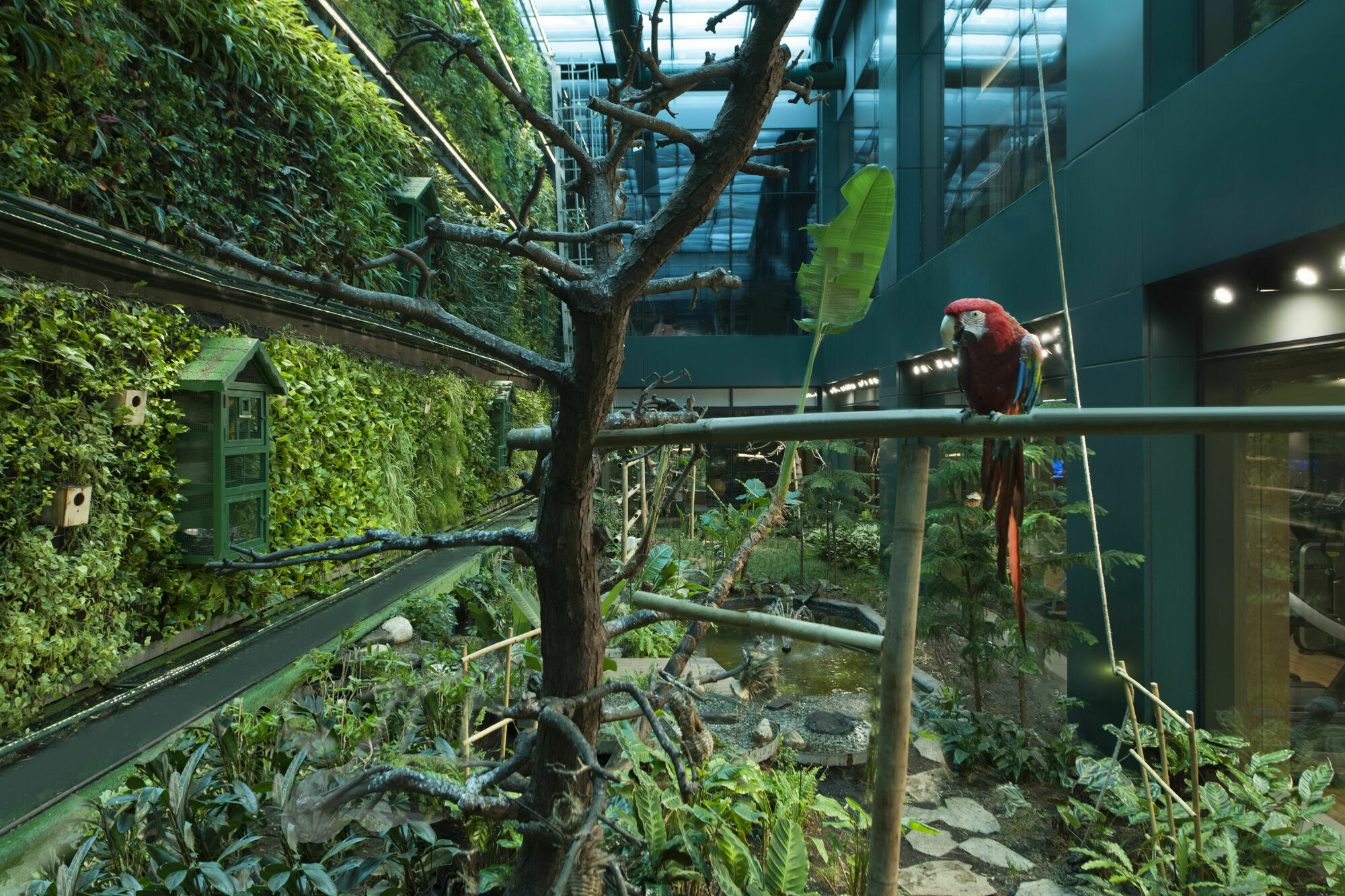 Elite World Grand Istanbul Basin Ekspres Hotel Ngoại thất bức ảnh Parrots at the Aviary